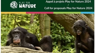 Play for Nature 2024 çağrısı başvuruları devam ediyor!