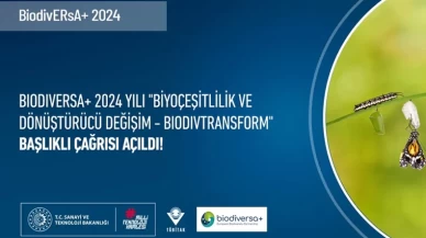 BiodivERsA+ 2024 yılı “Biyoçeşitlilik ve Dönüştürücü Değişim – BiodivTransform” çağrısı başvurularınızı bekliyor!