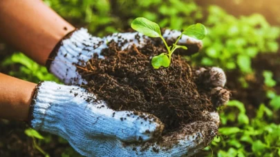 TÜBİTAK ve Bulgar Tarım Akademisi'nden ikili iş birliği çağrısı