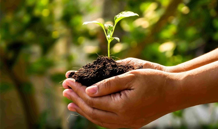 Agroekoloji ve Haklarımız Toplantısı katılımcılarını bekliyor