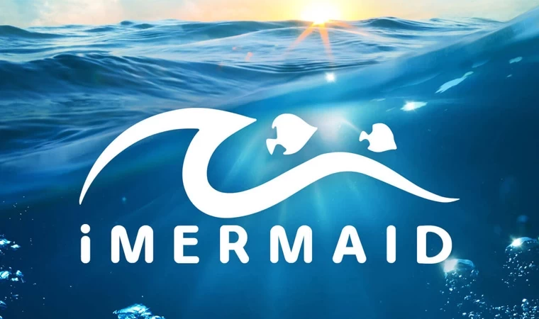 iMERMAID 2024 yılı çağrısı başvuruları başladı!