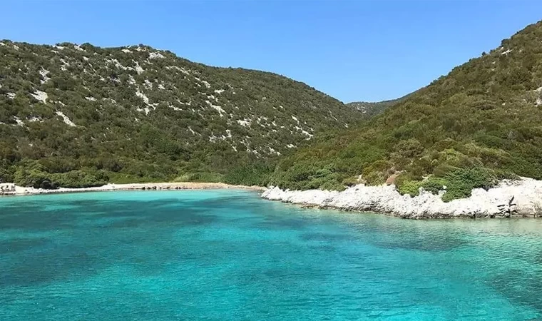 Hukuk ve Doğa Okulu: Doğa koruma mücadelesinde hukukun rolü