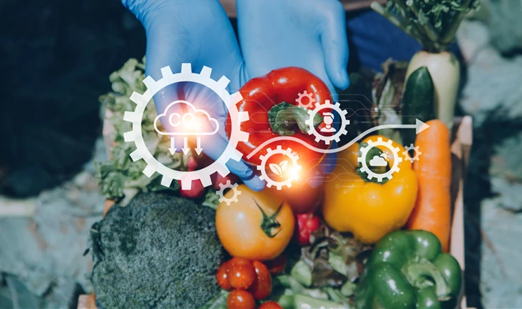 WE Lead Food Türkiye Çalıştayı: Kadınlar gıda sistemini dönüştürüyor