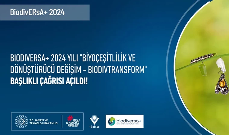 BiodivERsA+ 2024 yılı “Biyoçeşitlilik ve Dönüştürücü Değişim – BiodivTransform” çağrısı başvurularınızı bekliyor!