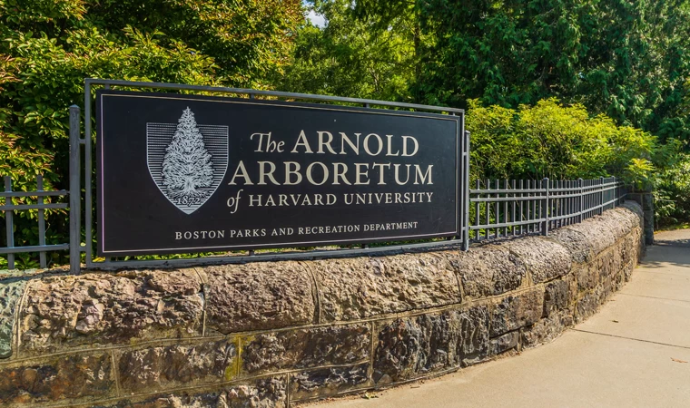 Harvard Üniversitesi Arnold Arboretum’unda doktora sonrası araştırma fırsatı!